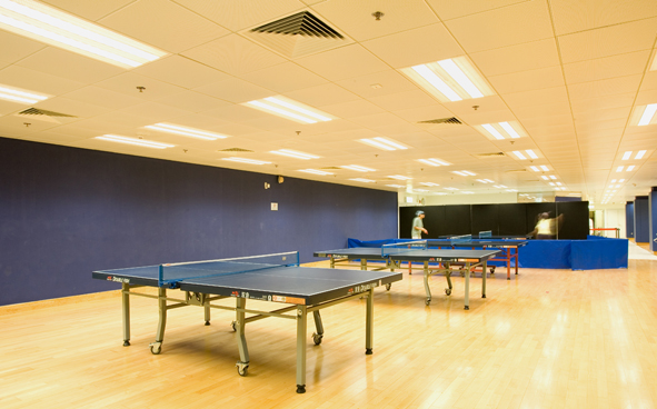 Table Tennis playing area